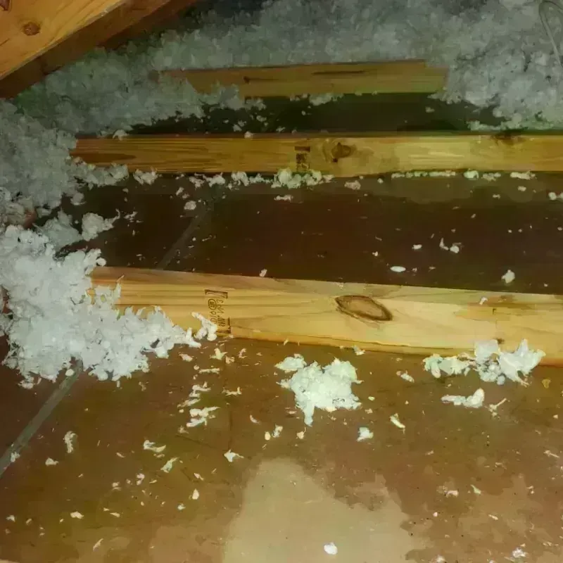 Attic Water Damage in Swansboro, NC